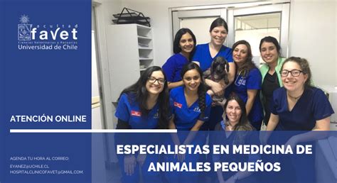clinica veterinaria universidad de chile
